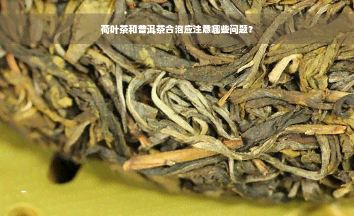 荷叶茶和普洱茶合泡应注意哪些问题？