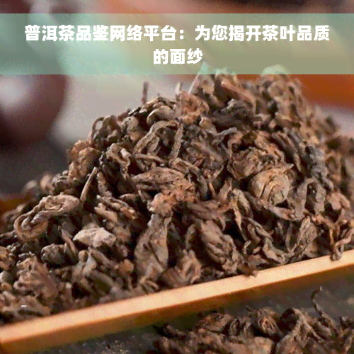 普洱茶品鉴网络平台：为您揭开茶叶品质的面纱