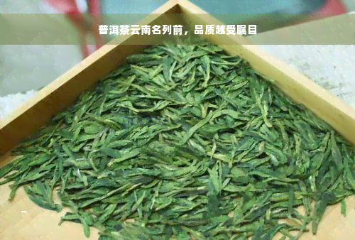 普洱茶云南名列前，品质越受瞩目