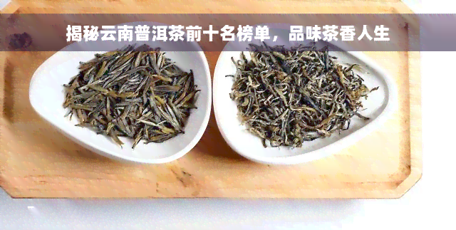 揭秘云南普洱茶前十名榜单，品味茶香人生