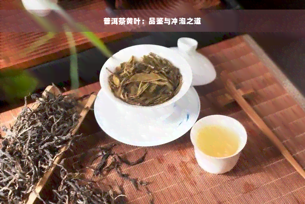 普洱茶黄叶：品鉴与冲泡之道