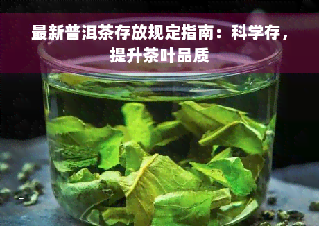 最新普洱茶存放规定指南：科学存，提升茶叶品质