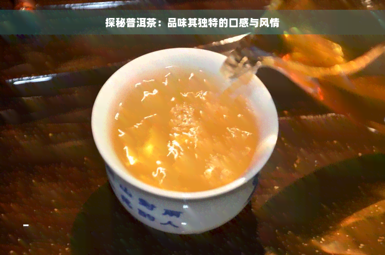 探秘普洱茶：品味其独特的口感与风情