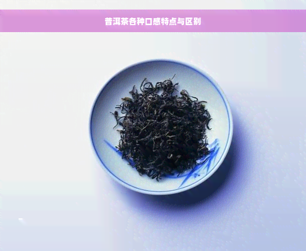 普洱茶各种口感特点与区别