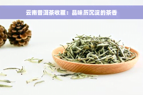 云南普洱茶收藏：品味历沉淀的茶香