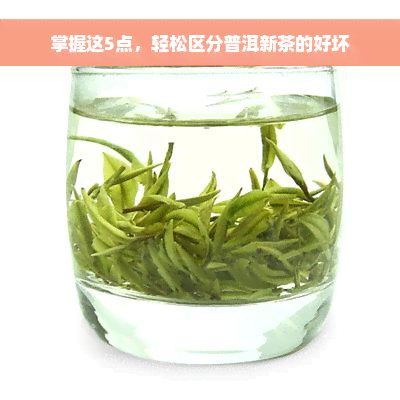 掌握这5点，轻松区分普洱新茶的好坏