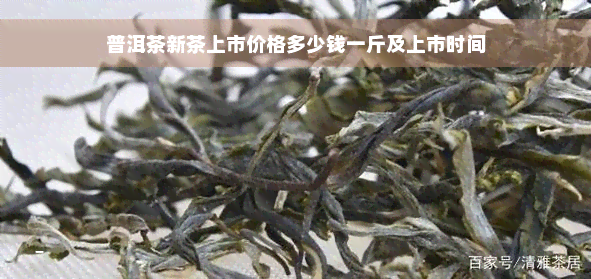 普洱茶新茶上市价格多少钱一斤及上市时间