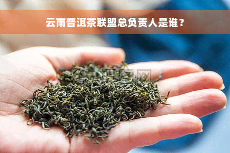 云南普洱茶联盟总负责人是谁？