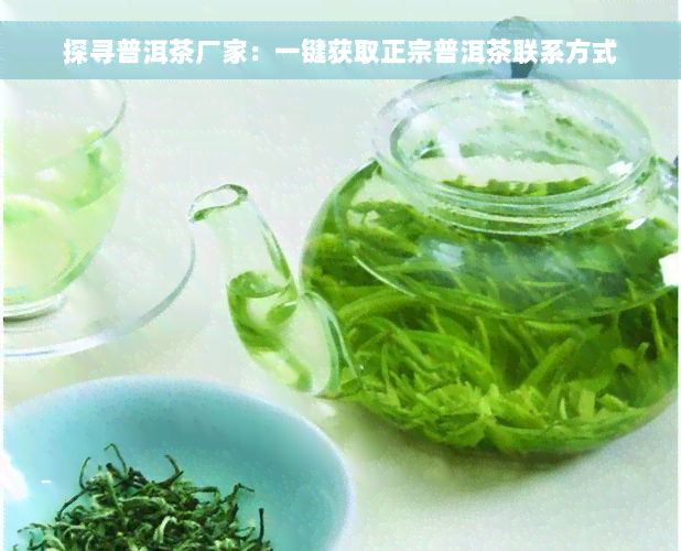 探寻普洱茶厂家：一键获取正宗普洱茶联系方式