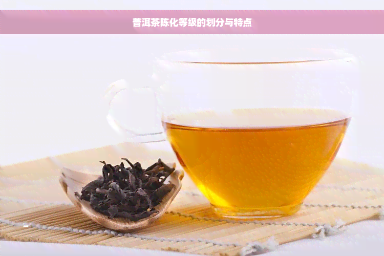 普洱茶陈化等级的划分与特点