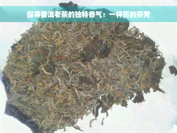 探寻普洱老茶的独特香气：一杯历的芬芳