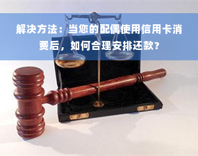 解决方法：当您的配偶使用信用卡消费后，如何合理安排还款？