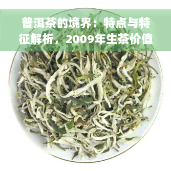 普洱茶的境界：特点与特征解析，2009年生茶价值评估