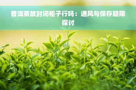 普洱茶放封闭柜子行吗：通风与保存期限探讨