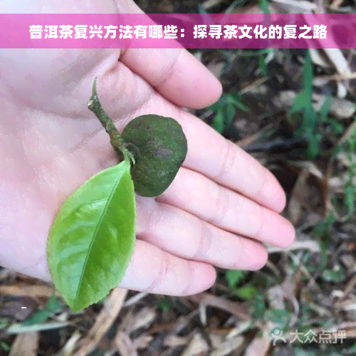 普洱茶复兴方法有哪些：探寻茶文化的复之路