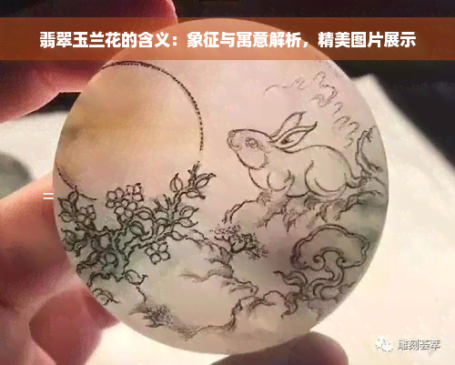 翡翠玉兰花的含义：象征与寓意解析，精美图片展示