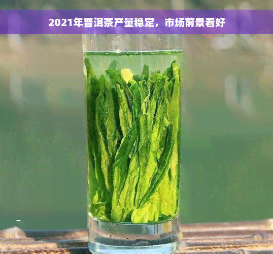 2021年普洱茶产量稳定，市场前景看好