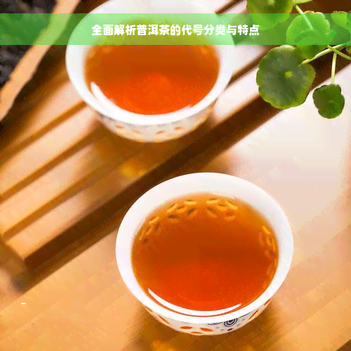 全面解析普洱茶的代号分类与特点