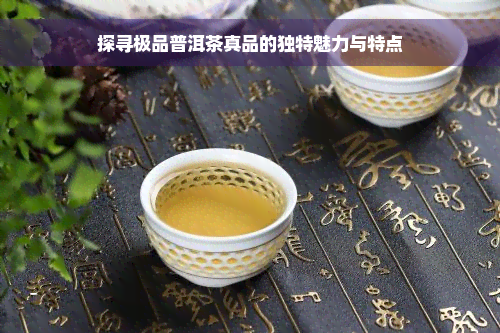 探寻极品普洱茶真品的独特魅力与特点