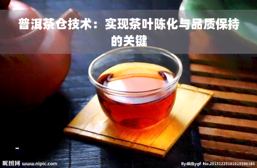 普洱茶仓技术：实现茶叶陈化与品质保持的关键