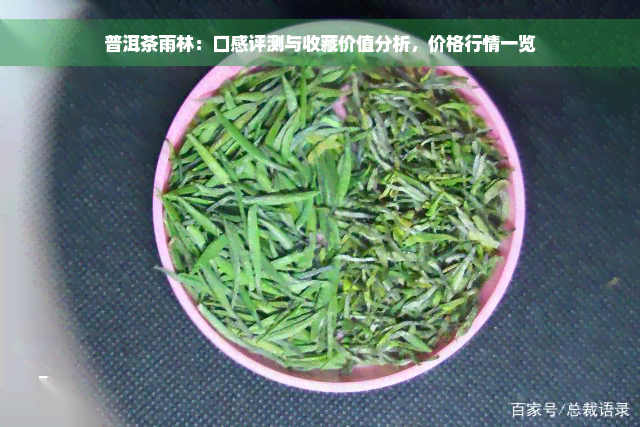 普洱茶雨林：口感评测与收藏价值分析，价格行情一览