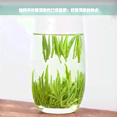 如何评价普洱茶的口感品质：好普洱茶的特点