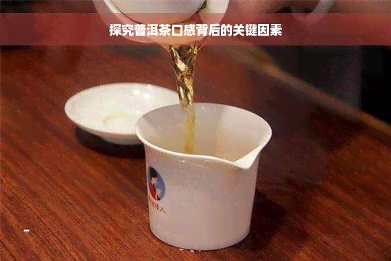 探究普洱茶口感背后的关键因素