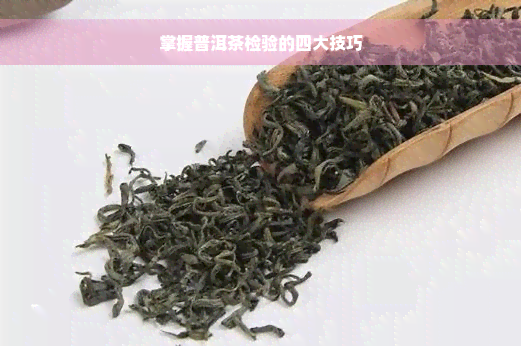 掌握普洱茶检验的四大技巧