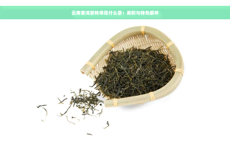 云南普洱茶特级是什么茶：类别与特色解析