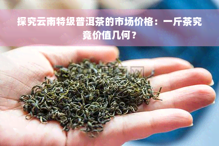 探究云南特级普洱茶的市场价格：一斤茶究竟价值几何？