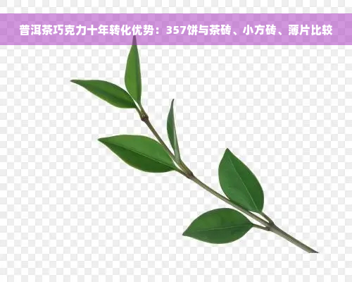 普洱茶巧克力十年转化优势：357饼与茶砖、小方砖、薄片比较