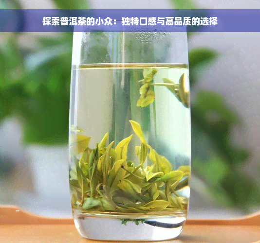 探索普洱茶的小众：独特口感与高品质的选择