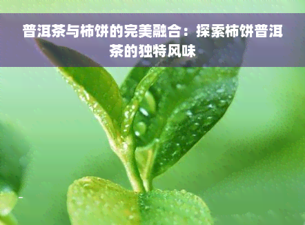 普洱茶与柿饼的完美融合：探索柿饼普洱茶的独特风味