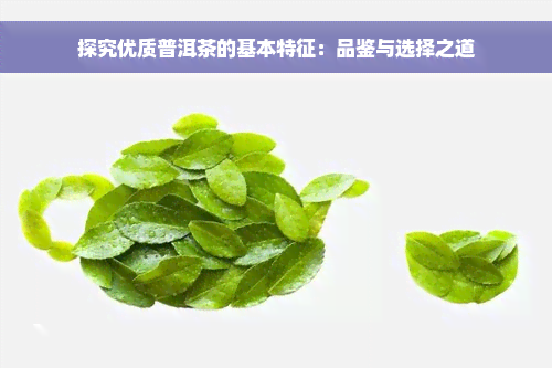 探究优质普洱茶的基本特征：品鉴与选择之道