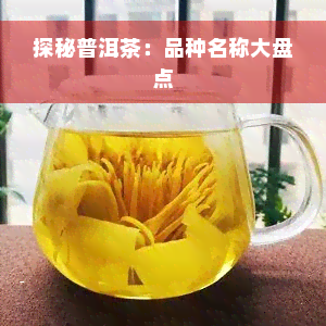 探秘普洱茶：品种名称大盘点