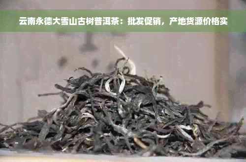 云南永德大雪山古树普洱茶：批发促销，产地货源价格实