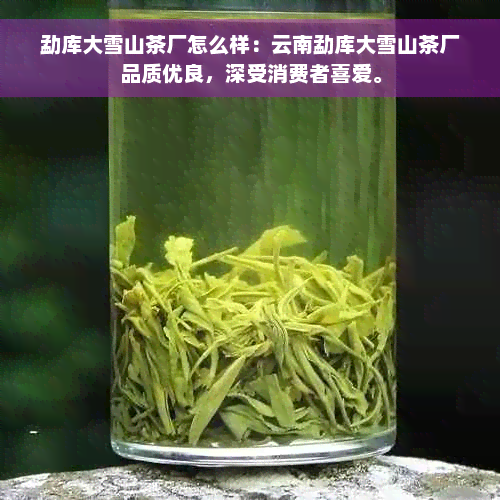 勐库大雪山茶厂怎么样：云南勐库大雪山茶厂品质优良，深受消费者喜爱。