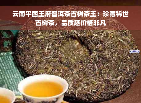 云南平西王府普洱茶古树茶王：珍藏稀世古树茶，品质越价格非凡