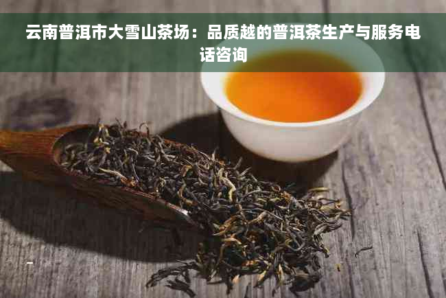 云南普洱市大雪山茶场：品质越的普洱茶生产与服务电话咨询