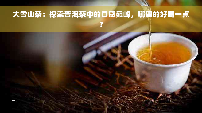 大雪山茶：探索普洱茶中的口感巅峰，哪里的好喝一点？