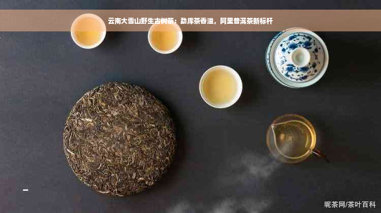 云南大雪山野生古树茶：勐库茶香溢，阿里普洱茶新标杆
