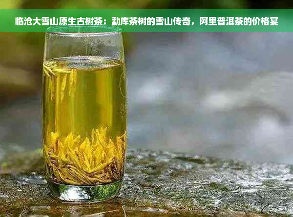 临沧大雪山原生古树茶：勐库茶树的雪山传奇，阿里普洱茶的价格宴
