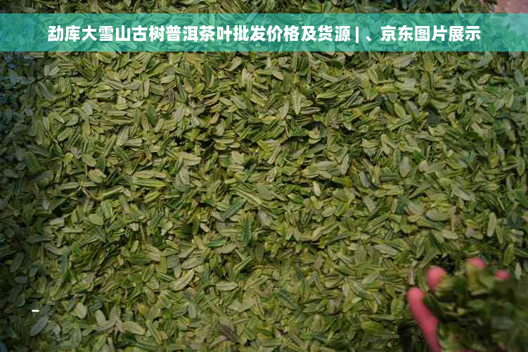 勐库大雪山古树普洱茶叶批发价格及货源 | 、京东图片展示