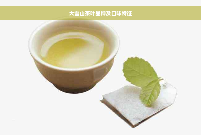 大雪山茶叶品种及口味特征