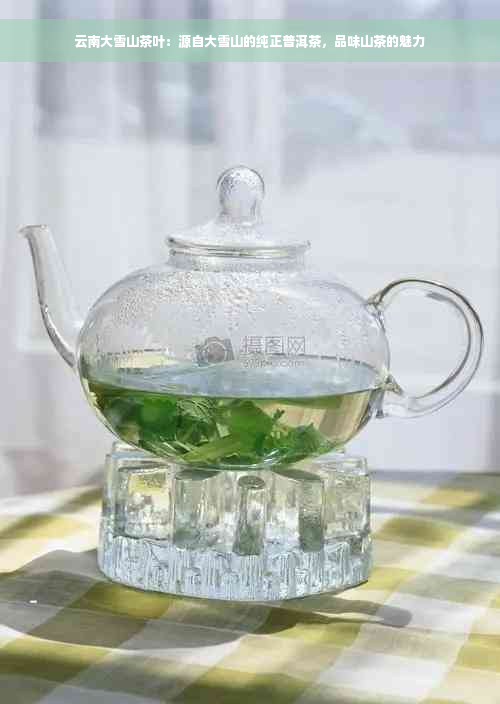 云南大雪山茶叶：源自大雪山的纯正普洱茶，品味山茶的魅力