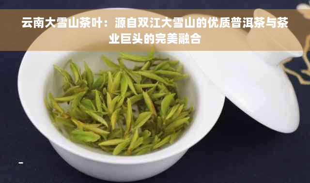 云南大雪山茶叶：源自双江大雪山的优质普洱茶与茶业巨头的完美融合