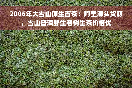 2006年大雪山原生古茶：阿里源头货源，雪山普洱野生老树生茶价格优