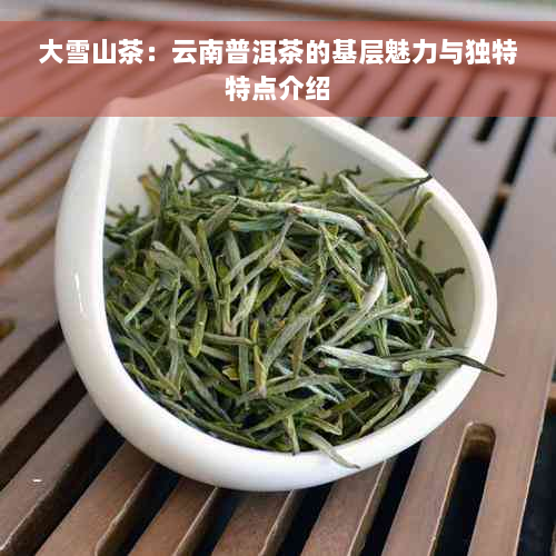 大雪山茶：云南普洱茶的基层魅力与独特特点介绍