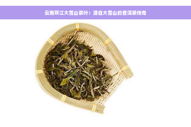云南双江大雪山茶叶：源自大雪山的普洱茶传奇