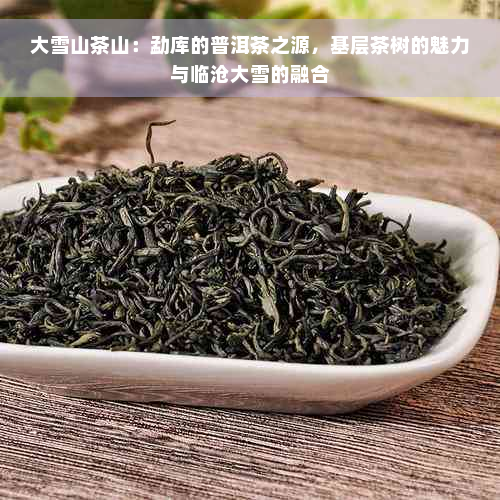 大雪山茶山：勐库的普洱茶之源，基层茶树的魅力与临沧大雪的融合